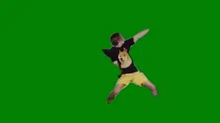 DOGECOIN TO THE MOOOON  BTC conference Miami 2021 (green screen)