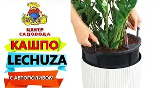 Super Self-Watering Planter! Lechuza! How to use?