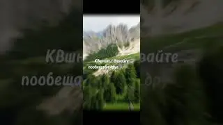 КВшники, давайте пообещаем друг-другу? || Коты-воители 
