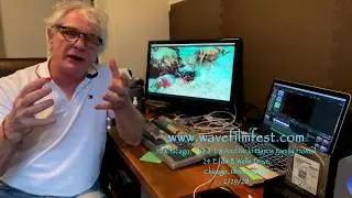 Wave FF Promo 5