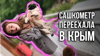 Саня в Крыму / Скрытая камера / Чубака стащил огурчик