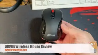 LODVIE Wireless Mouse Review