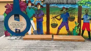 Famous Curaçao Liqueur Distillery  Tour in Curaçao. Senior & Co Book your tour #caribbean #curacao