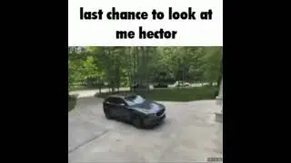 last chance to look at me hector