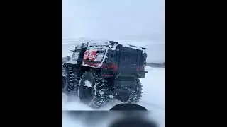 Новый 2022 год