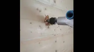 Сверление подрозетников в доме из бруса.