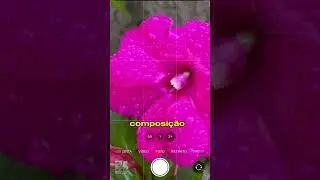 FOTO DE FLOR E PAISAGENS COM O CELULAR 