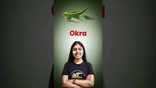 || Okra ||