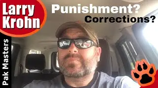 Corrections and Punishment in Dog Training