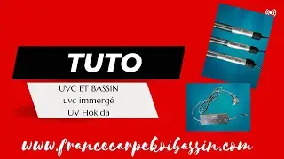 Lampe UVC et bassin carpe koi, nouvel UVC immergé Hokida.
