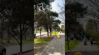 Новороссийск 🔥 