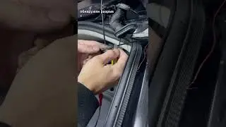 Discovery Sport не работает камера заднего вида