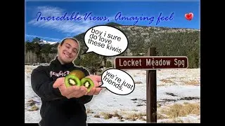 Cinematic Fall Nature video of Flagstaff Arizona