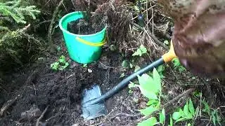 Новый, оригинальный метод поиска ЗОЛОТА! A new, original method of finding GOLD!