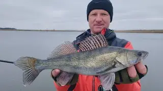 Вдале відкриття по судаку. Рибалка на спінінг на печенізькому рибхозі 2023