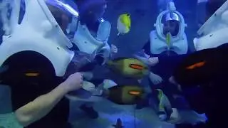 We LOVED SeaTREK Adventure in Odysea Aquarium in Scottsdale, AZ