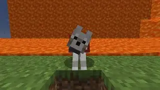 I am going to put this dog in the lava.