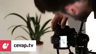 DSLR fotoğraf makinesi seçerken nelere dikkat edilmeli?
