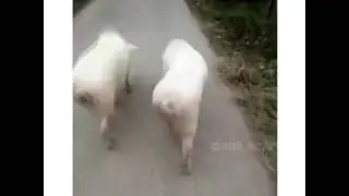 С подругой в клуб