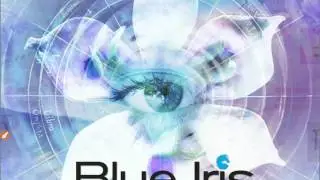 A Blue Iris Android App Walk Through