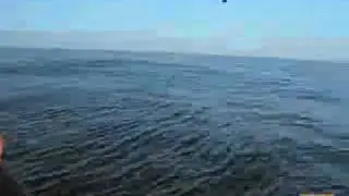 UFO DIVES UNDERWATER! RECORDED IN SPAIN