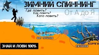 Зимой со спиннингом! ГДЕ, КАК, КОГО ловить зимой на спиннинг? Школа рыбалки!  