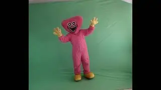 киси миси на зелёном фоне,  футаж, хромакей