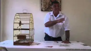 How to insert the curio corner