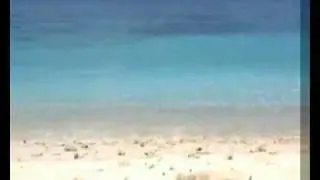 sample beach