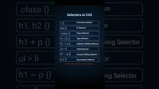 CSS Selectors | HTML CSS 