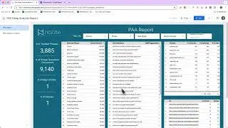 PAA Report Walkthrough - One PAA Report To Rule Them All