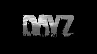 DayZ - More things