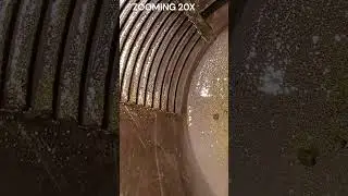BLACK SAND FOUND GOLD #shorts  #gold
