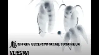 В точке зимнего солнцестояния 2021