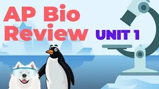 AP Biology: Unit 1 Review