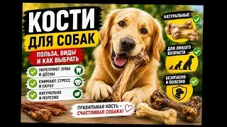 11. КОСТИ для СОБАК. Польза и вред костей для собак.