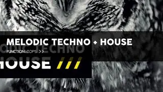 Melodic Techno Samples - MELODIC TECHNO & HOUSE Sample Pack - Construction Kits, Loops, Shots & MIDI