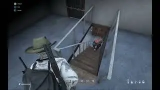 Dayz moment