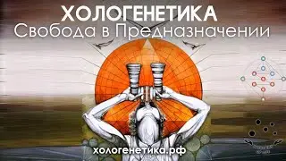 🧬Хологенетика: тело, здоровье, земля личности, солнце личности в бодиграфе.