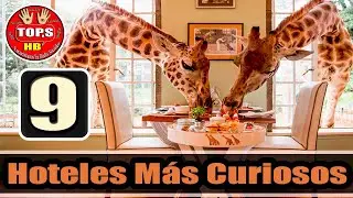 Top 9 Hoteles Más Curiosos e Increíbles del Mundo