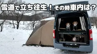 のん気に雪中キャンプを楽しんでいたら帰りの雪道で立ち往生!? -犬連れ夫婦キャンプ-