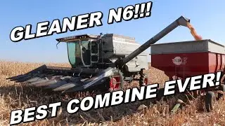 Best Combine Ever! 2024 Corn Harvest With The Allis Chalmers Gleaner N6