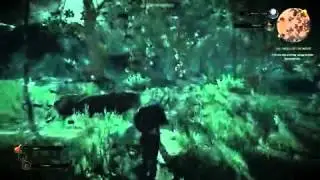 Новое геймплейное видео The Witcher 3: Wild Hunt