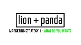 Marketing Strategy - What do you want?