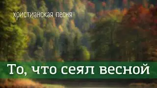 ЖАТВА 2021 