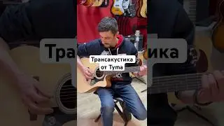 Трансакустическая гитара 