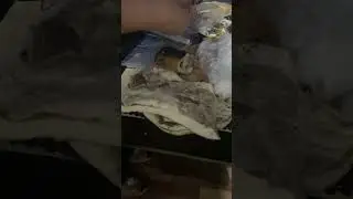🇧🇾 Беларусь