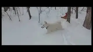 28 февраля 2024 г.