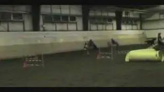 Robin & Abba in Masters Team