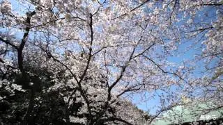 kamakura15
